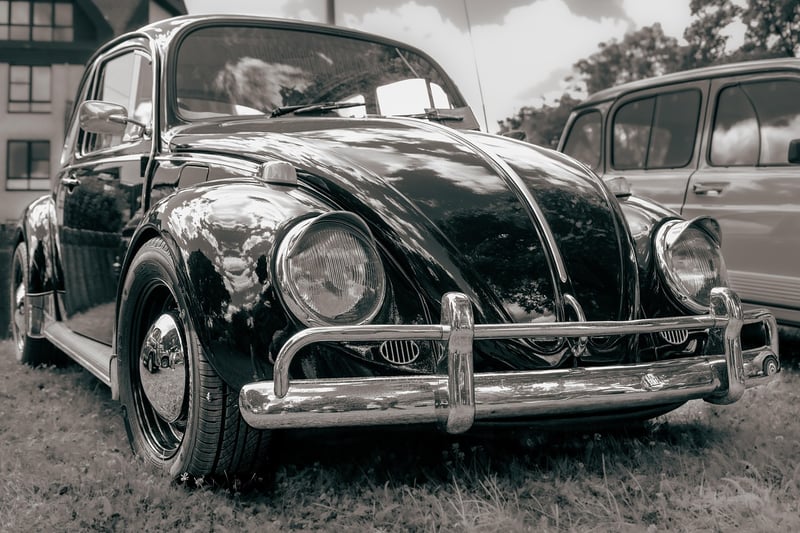 Antique Renewal